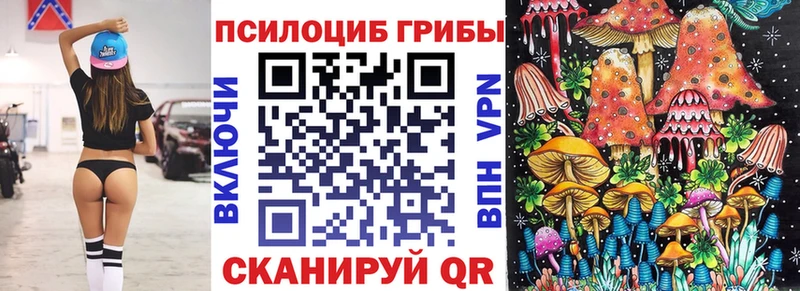 Галлюциногенные грибы Psilocybine cubensis  Купить закладки  Алексин 