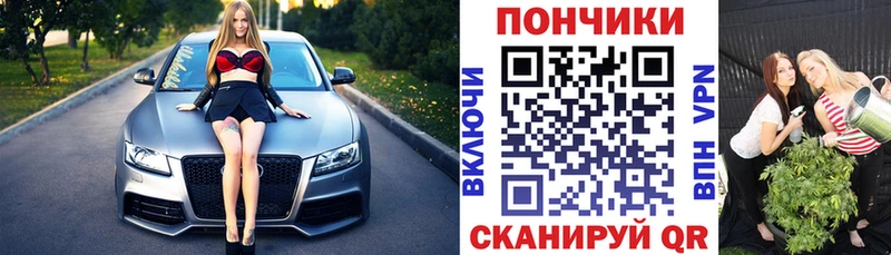Бошки марихуана Bruce Banner  Купить где  Алексин 